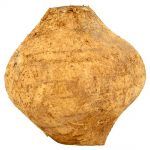 Sengkuang (Yam Bean)